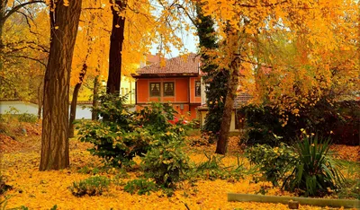 ᐉ Купить Картина по номерам Осенний сад BS9972 • цена 245 грн в Украине