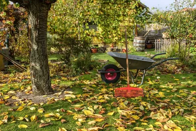 Осенний Яблоневый сад (53 фото) - 53 фото