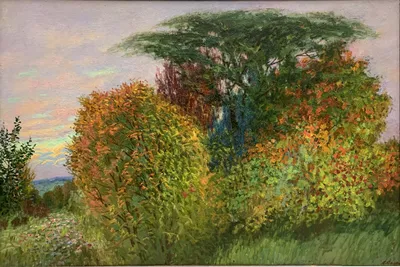 осенний сад фон с различными осенними цветами Фото И картинка для  бесплатной загрузки - Pngtree