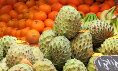 Огромные размеры: овощи, фрукты и маркетинг в Израиле | ПРОсто ИЗРАИЛЬ |  Аня из России | Дзен