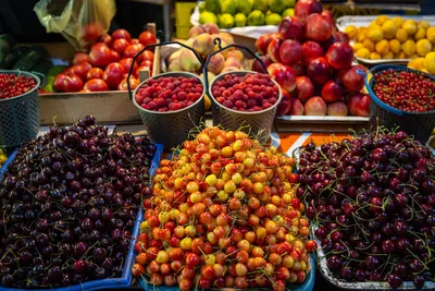 Аграрную реформу утвердили в Израиле: снизятся пошлины на импорт 130  разновидностей фруктов и овощей - Новости Израиля : ISRAELINSIDE.info
