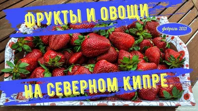 Необычные фрукты и овощи Кипра. Это стоит попробовать!