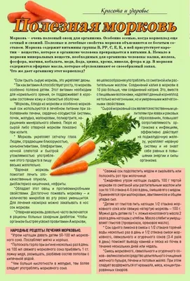 Морковь Овощи Корнеплоды Уборка - Бесплатное фото на Pixabay - Pixabay