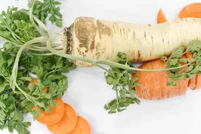 ОВОЩИ крупные декоративные, муляжи, 7 овощей: картошка, кабачок, перцы,  морковь, размер от 6,5 до 14 см - купить по низкой цене в интернет-магазине  OZON (692016568)