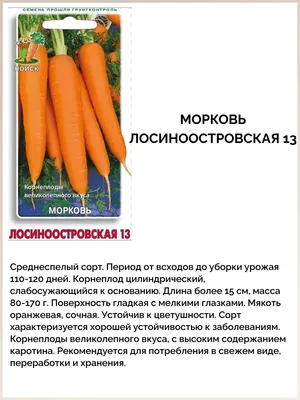 Удобрения для моркови при посадке | Морковь, Овощи, Корнеплоды