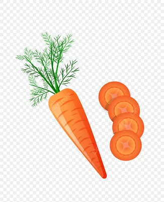 свежая морковь для вашей овощной концепции PNG , еда, свежий, морковь PNG  рисунок для бесплатной загрузки