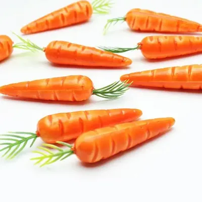 Когда сажать морковь и свеклу весной в открытый грунт: сорта моркови и  свеклы для открытого грунта - 29 апреля 2023 - 86.ru