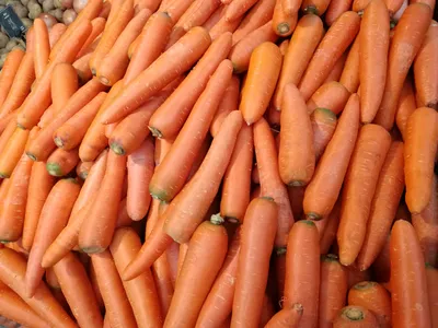 Купить PDTO 3 шт. искусственная ткань морковь сезонные овощи игрушка  нетканый морковный декор | Joom