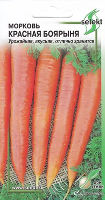 морковь, овощи, корнеплоды, png | PNGWing