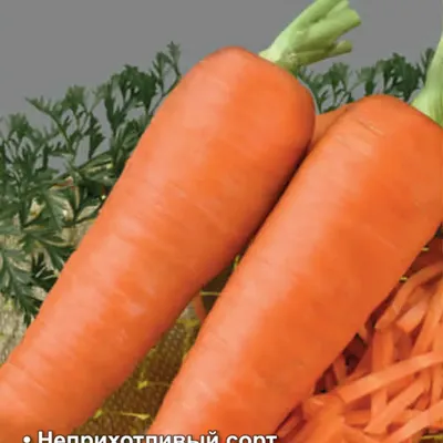Купить морковь Дмитровские овощи 25 кг, цены на Мегамаркет | Артикул:  100028177899