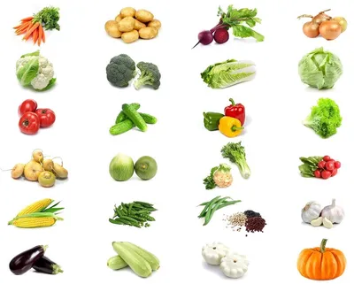 Некрахмалистые овощи и крахмалистые: список продуктов - 7Дней.ру