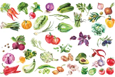 Какие овощи нужно есть каждый день? Самые полезные овощи — список |  Фитсевен | Дзен