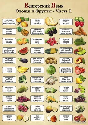 Виды сушеных овощей и особенности использования
