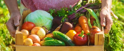 Самые вредные овощи: этот список вас удивит! - Jana