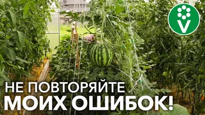 Теплицы из полиэтиленовой пленки