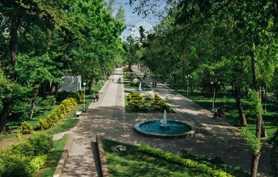 Парк Горького (Городской сад) Краснодар