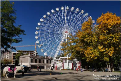 ФотоБлог Торгачкин Игорь Петрович © Igor Torgachkin: Краснодар, Городской  сад / Krasnodar, City park, October 11, 2014