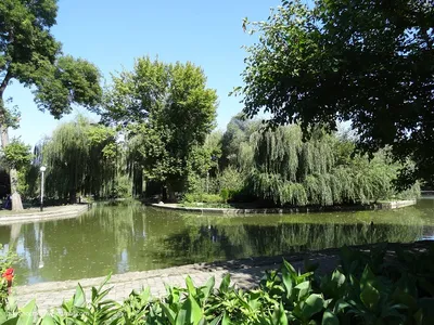 Городской сад Краснодара
