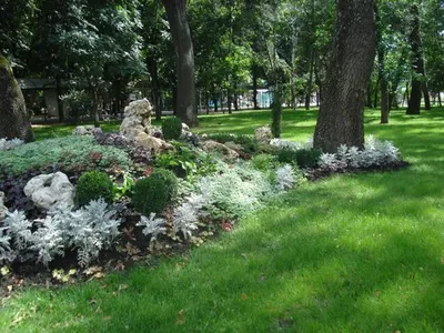 Городской сад, Краснодар: лучшие советы перед посещением - Tripadvisor