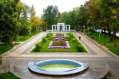Парк «Городской сад» в Краснодаре - Организация