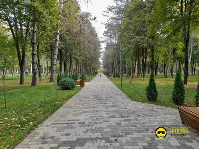 Городской сад Сосновый в посёлке Прогресс - Trip360 – Краснодар