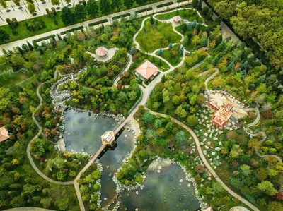 Японский сад в Краснодаре: 5 фактов о новой локации города - ЧеКуда!