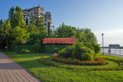 Отзыв о Парк \"Городской сад\" (Россия, Краснодар) | Городской парк с  вековыми дубами.