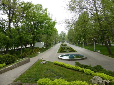 Городской сад Краснодара — подробное описание, адрес и фото
