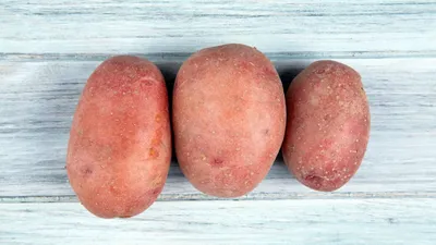 Парша на картофеле - почему появляется и как лечить - Lifestyle 24