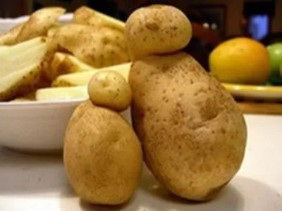 Протравитель концетрированный клубней картофеля от коллорадского жука Табу®  AVGUST 10мл в Калининграде