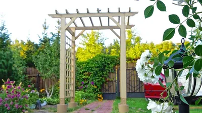 Перголы, увитые цветами, чудесные украшения сада. | Garden arches, Garden  trellis, Garden archway