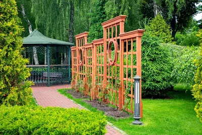 Пергола- это лучшее решении для придания садовому участку уникальности |  компания BESEDKA-DACHA.RU
