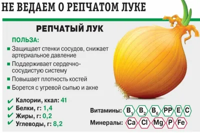 ✓ Семена Лук репчатый Даниловский 301, 0,5г, Гавриш, Овощная коллекция по  цене 18,40 руб. ◈ Большой выбор ◈ Купить по всей России ✓ Интернет-магазин  Гавриш ☎ 8-495-902-77-18