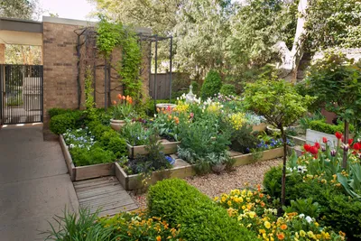 Как распланировать 10 соток: сад, огород, место для отдыха, стоянка для  машины — Roomble.com