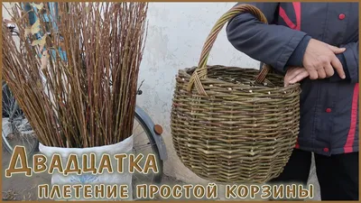 Плетение простой корзины ДВАДЦАТКА из лозы, ивового прута - YouTube