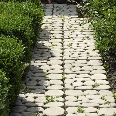Плитка в саду» — создано в Шедевруме