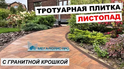 Главные приемы в ландшафтном дизайне в 2022 году, Как украсить территорию  тротуарной плиткой - 18 апреля 2022 - 45.ru