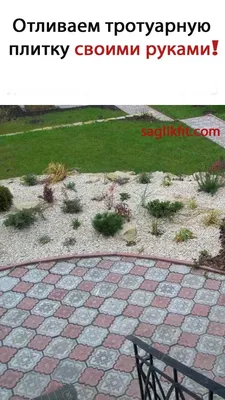 газон и белая плитка в саду отдельно стоящего дома с большой пальмой  Стоковое Изображение - изображение насчитывающей лужайка, листья: 228147675