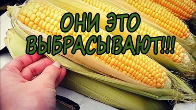 Поделка в сад, на тему \"осень в Питере\" | Пикабу