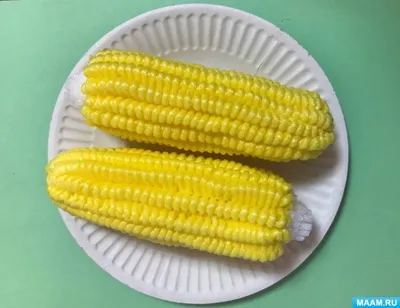 Поделка из кукурузы для детского сада - фото и картинки: 75 штук