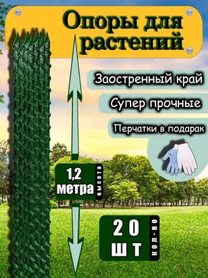 Как правильно подвязать помидоры в теплице и парнике: 4 способа и техники  подвязки томатов | ivd.ru