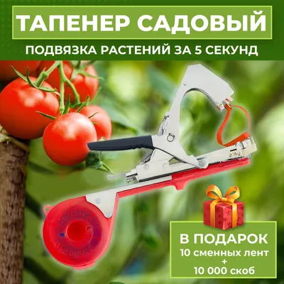 Подвязка томатов.🍅 ⠀ Знаю у меня на странице много новичков в делах  огородных, поэтому все этапы работ в теплице буду оставлять в формате  поста. Чтобы... | By Doma_s_oley | Facebook