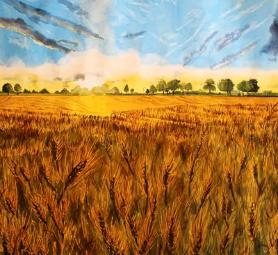 963 767 рез. по запросу «Поле пшеницы» — изображения, стоковые фотографии,  трехмерные объекты и векторная графика | Shutterstock