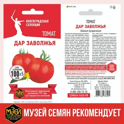 Томаты томатов - купить по выгодным ценам в интернет-магазине OZON  (880651099)