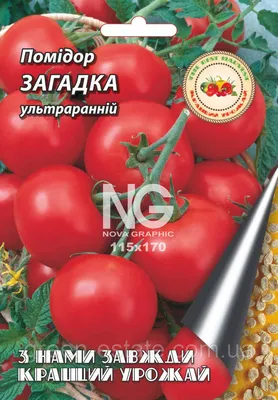 Томаты томат дар заволжья - купить по выгодным ценам в интернет-магазине  OZON (524049596)