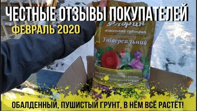 Помидор Загадка 1 г. купить в Украине почтой, цена оптом 2022