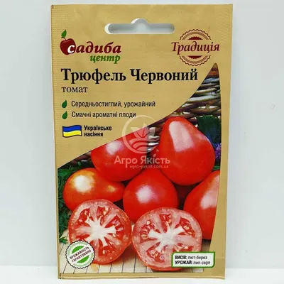 https://vsegda-pomnim.com/rastenija/70566-pomidory-dary-zavolzhja-53-foto.html
