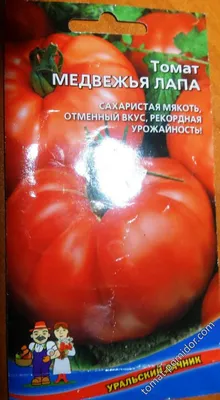 Семена Seedera Томат Медвежья Лапа 0.1г ❤️ доставка на дом от магазина  Zakaz.ua