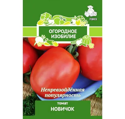 Томат Новичок: описание и характеристика сорта, особенности посадки и  выращивания помидоров, отзывы тех, кто сажал, фото