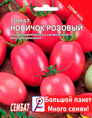 Помидоры Новичок: описание сорта. Неприхотливый, урожайный и вкусный |  Азбука огородника | Дзен